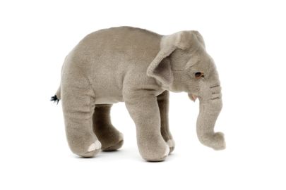 Elefant