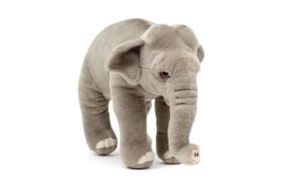 Elefant