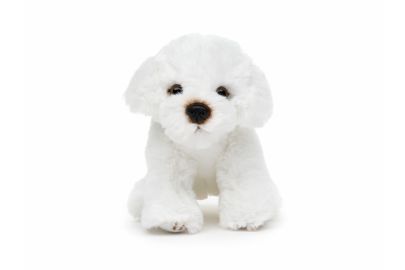 Bichon